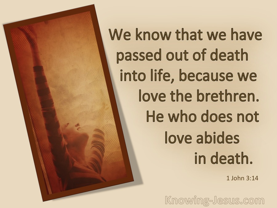 1 John 3:14 He Who Does Not Love Abides In Death (brown)